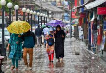 ‘No significant alerts’ : Light rain expected in Kashmir over coming days Light rain, Kashmir, Fish Eye