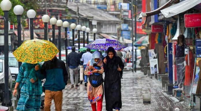 Rain lashes parts of Kashmir, more showers forecast till Aug 17 Rain lashes, Kashmir, Showers, Fish Eye