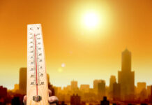 At 35.2°C, Srinagar records second hottest day of season 35.2°C, Hottest day, Srinagar, Fish Eye