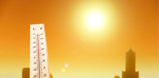 At 35.2°C, Srinagar records second hottest day of season 35.2°C, Hottest day, Srinagar, Fish Eye