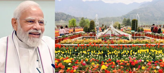 Beautiful-J&K-Tulip Garden-PM-Fish Eye