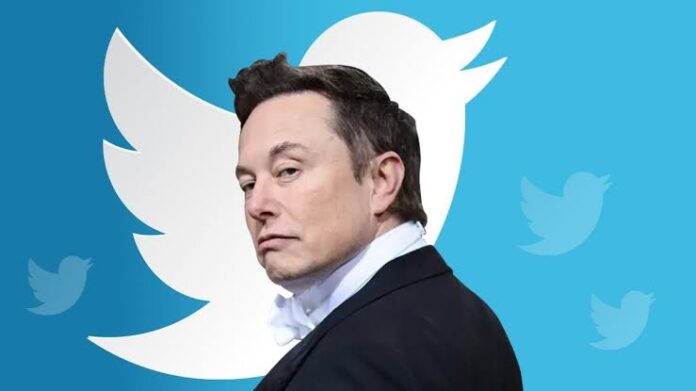Elon Musk-Video And Audio Calls-Twitter -Fish Eye