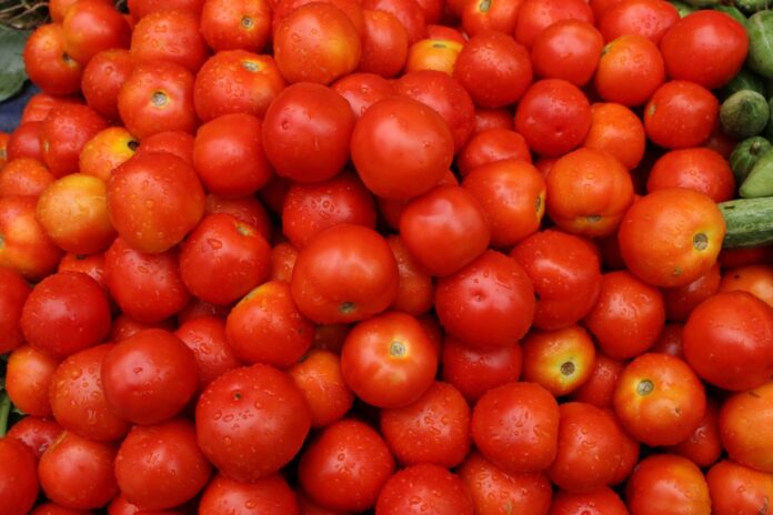 Farmers-Udhampur -‘Red Gold’ Tomato-Fish Eye