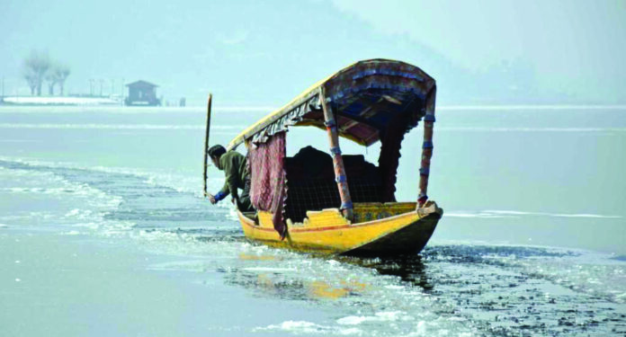 Night temp-Freezing Point-Fish Eye