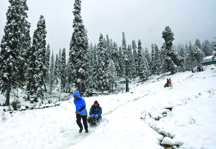 Snowfall , Jan 1, MeT, Fish Eye