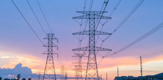 Short-term power markets to rescue ‘J&K’s 300 MWs gap’ Short-term, Power, ‘J&K’s 300 MWs gap’, Fish Eye