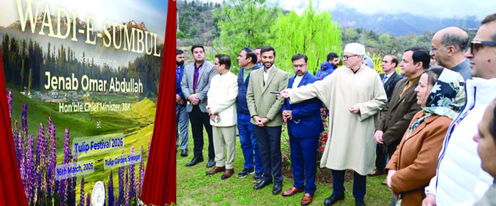 Tulip Garden, Welcomes Visitors, Dazzling Spring Bloom, Fish Eye