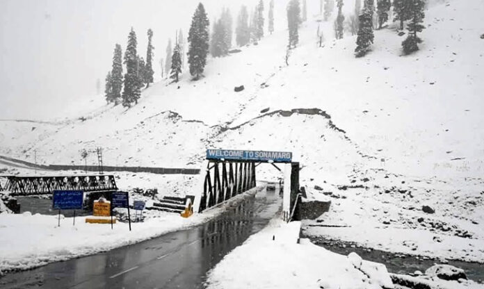 Rooting , Future, Plantation , Climate Crisis, Fish Eye