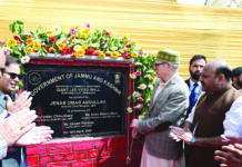 Reviving crafts, boosting tourism top priorities for J&K govt: CM Omar Reviving crafts, Boosting tourism, J&K govt, CM Omar, Fish Eye