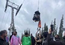300 Tourists Rescued After Gulmarg cable car glitch 300 Tourists, Rescued , Gulmarg cable car glitch, Fish Eye
