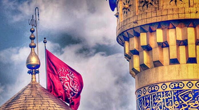 Thousands join traditional 8th Muharram procession in Srinagar 8th Muharram procession, Srinagar, Fish Eye