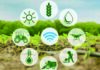 Agrarian crossroads: Traditional wisdom or creeping poison? Agrarian crossroads, Traditional wisdom, creeping poison, Fish Eye