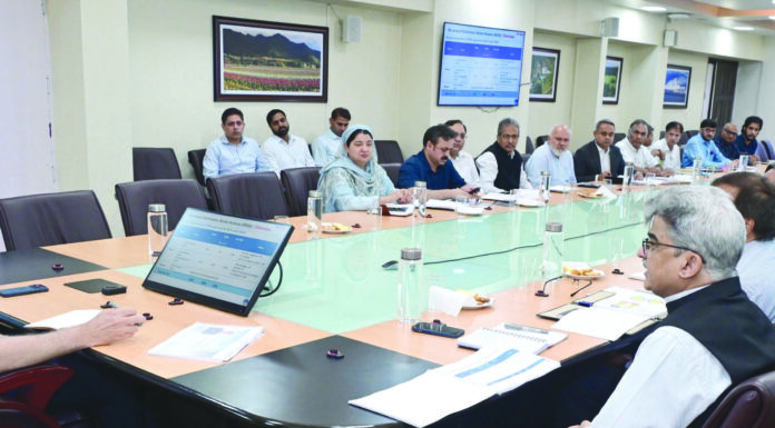 CM Omar Pushes For Power Sector Overhaul, Seeks Reliable Electricity CM Omar, Power Sector Overhaul, Reliable Electricity, Fish Eye