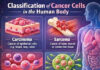 WHO flags worldwide crisis as cancer cases are on track to double WHO, Global alarm, Cancer cases, Double, 2050, Fish Eye