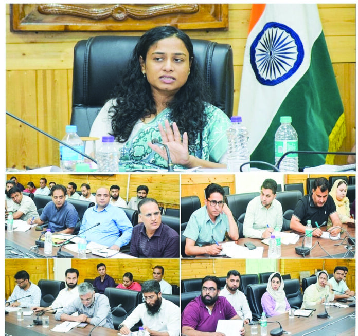 Dir Info , Preparations, 1st Int'l Film Festival, J&K, Fish Eye