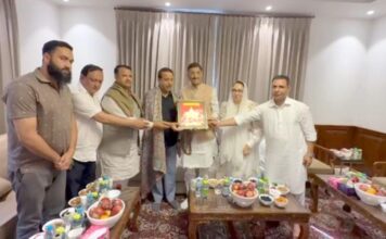 A Year So Far, For Al Noor Group A Year So Far, For Al Noor Group, Fish Eye