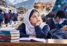 The changing challenges of childhood education changing challenges, childhood education, Fish Eye