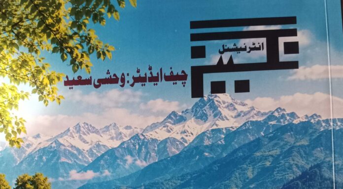 Nagina International (January–August 2026): A Leading Voice In Urdu Language And Literature Nagina International, Leading Voice, Urdu Language And Literature, Fish Eye